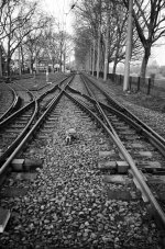 Tram (dev).jpg