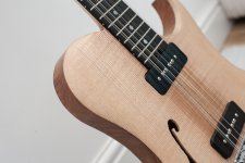 re-shape_GGBO2023_tyremanguitars (7 of 12).jpg