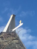IMG_6133.jpeg