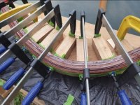 1 Stem lamination.jpg