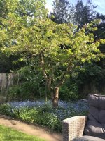 IMG_1011.jpeg