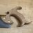 Weekend_Woodworker
